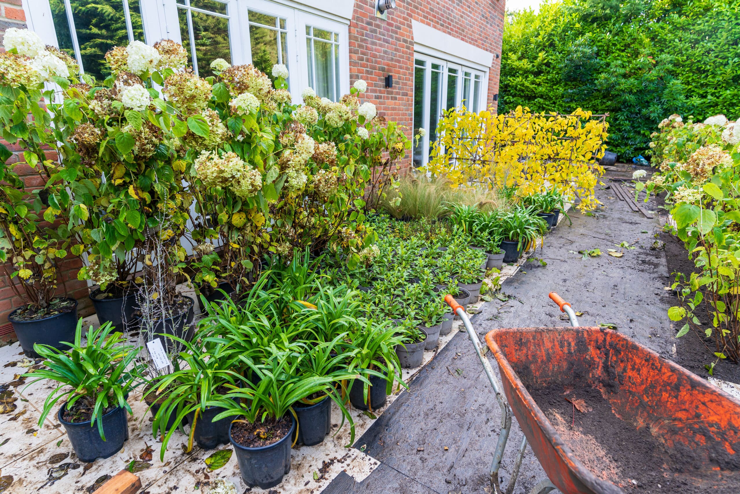 Transform your outdoor space with Gadsden Gardens Ltd. Expert garden design, construction, and maintenance for residential and commercial needs.