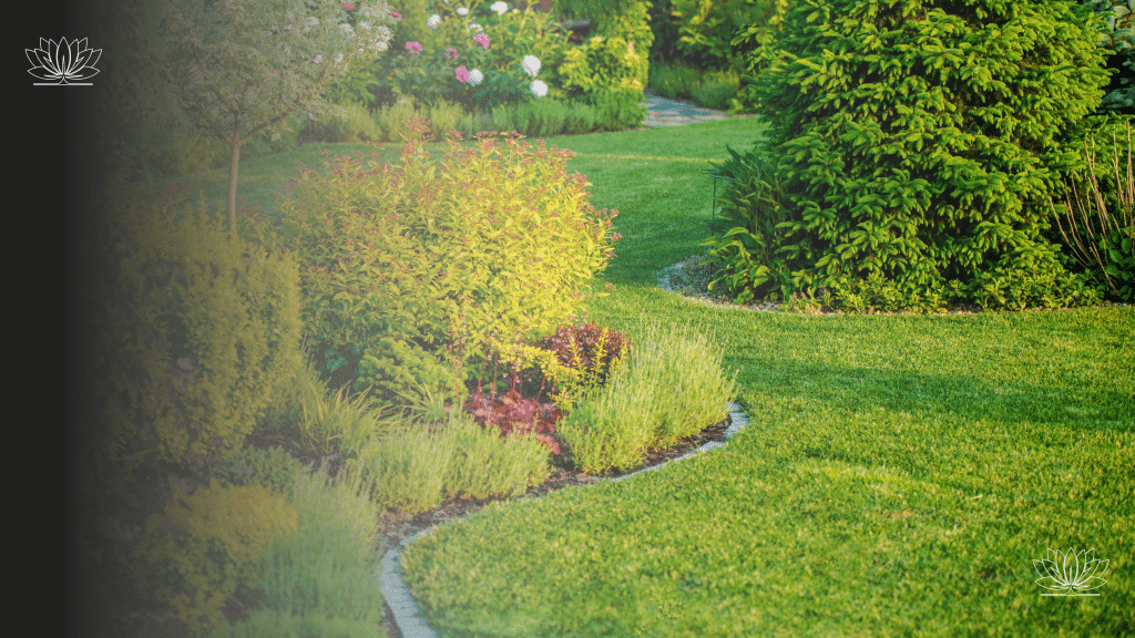 Discover how to choose the perfect softscape elements, plants, lawns, and ground covers, to create a thriving, sustainable dream garden with year-round interest.