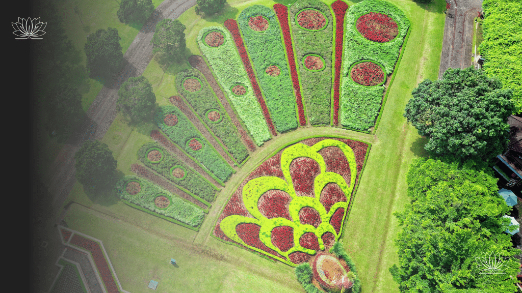 Discover how to choose the perfect softscape elements, plants, lawns, and ground covers, to create a thriving, sustainable dream garden with year-round interest.