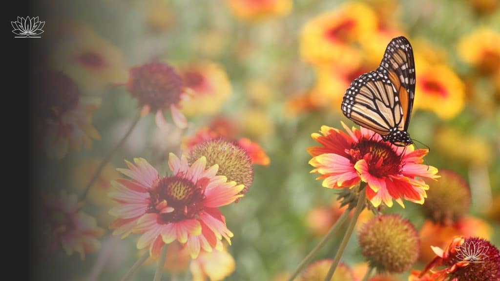 Discover how to design stunning garden colour schemes that last all year. Learn seasonal planting tips, colour theory, and practical ideas for vibrant outdoor spaces.