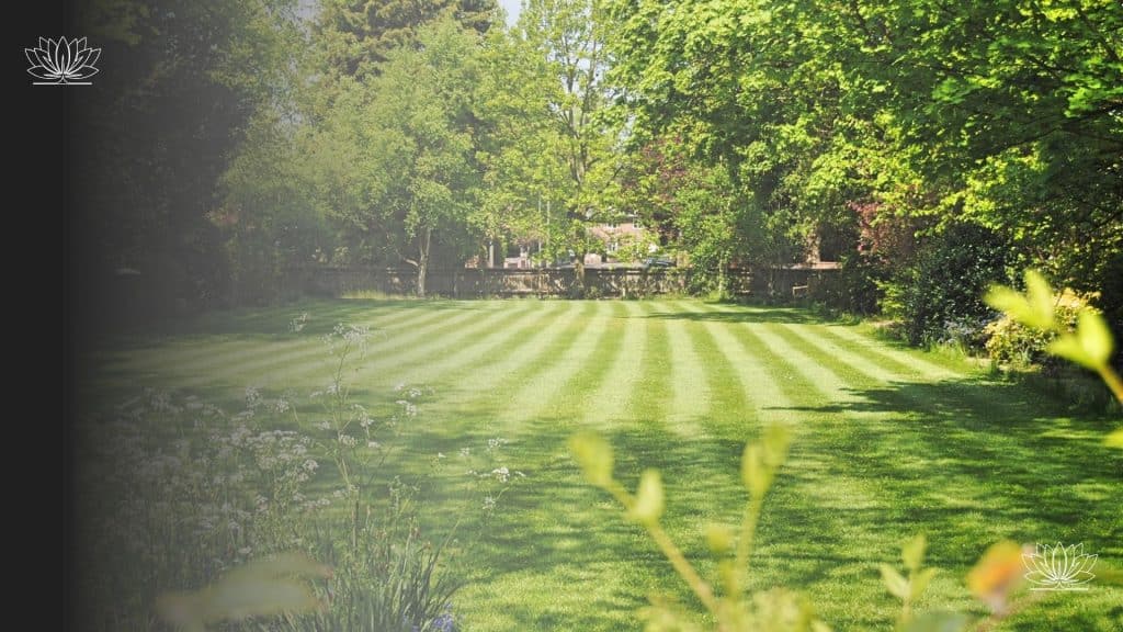 Discover essential seasonal lawn care tips to maintain a lush, vibrant lawn year-round. Learn effective techniques for each season with practical insights for homeowners.
