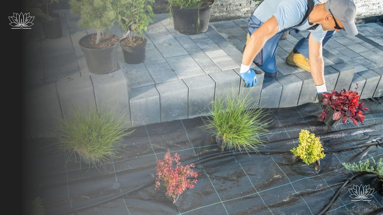 Common Landscaping Problems and How Professionals Avoid Them - Gadsden ...